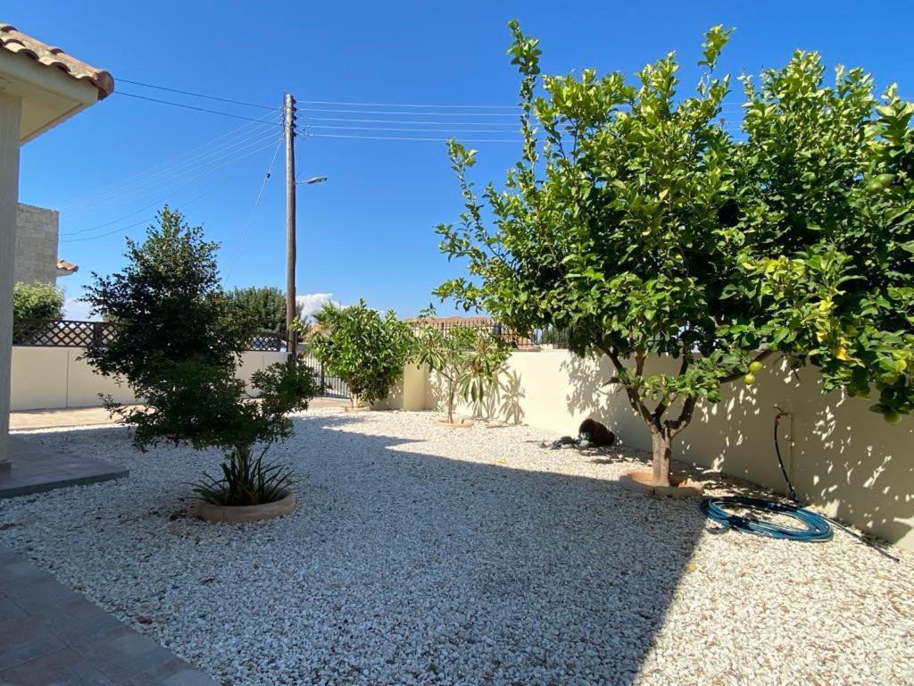 Villa Trachonas Pissouri Dış mekan fotoğraf